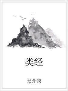 《类经》