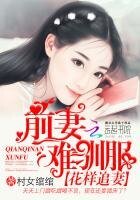 花样追妻:前妻难驯服