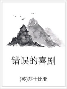 错误的喜剧