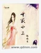 齐家小三