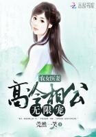 农女医妻:高冷相公无限宠