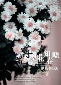 (网游)苒苒梨花知春晓