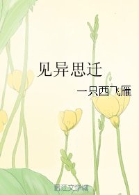 见异思迁