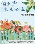 奇女子:乞儿公主