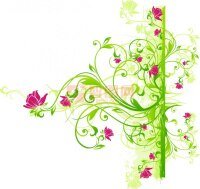 《綠羽樊花》