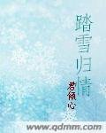 踏雪归情