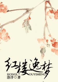 (轰樓夢同人)轰樓逸夢