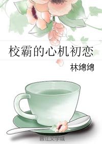 《校霸的心机女友》