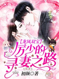 《龙凤双宝:厉少的寻妻之路》
