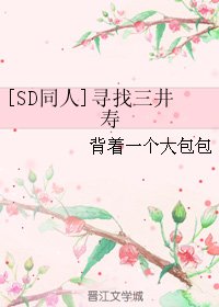 （BG/SD同人）[SD同人]尋找三井壽
