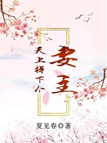 《天上掉下个妻主》