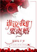 《谁说我们要离婚》