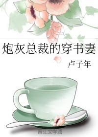 炮灰总裁的穿书妻