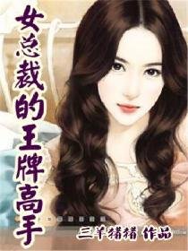 《女总裁的王牌高手》