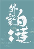 《外室白莲手册》
