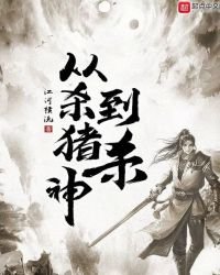 《从杀猪到杀神》