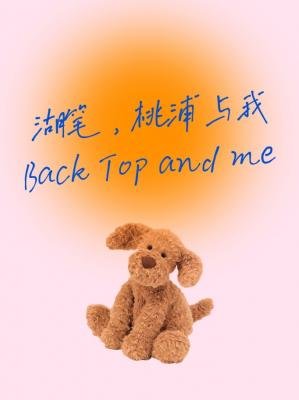 湖笔,桃浦与我