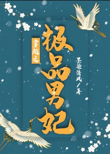 《穿越之极品男妃》