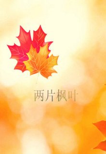 兩片楓葉