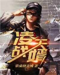《凌天战婿》