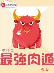 《(综同人)木叶之最强肉遁》