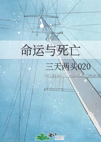 命运与肆亡