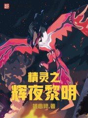 (宠物小精灵)精灵之辉夜黎明