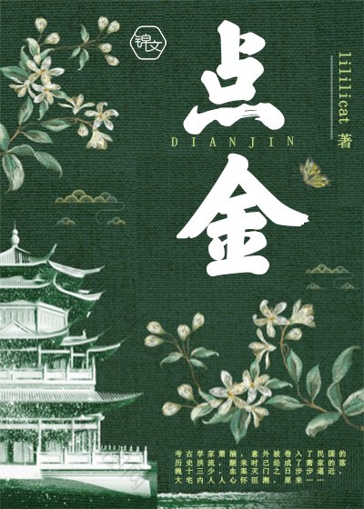 点金