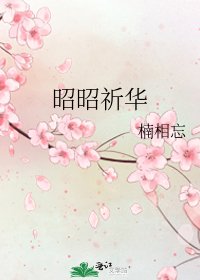 《昭昭祈华》