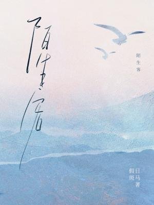 《陌生客》
