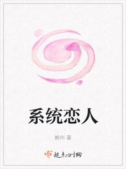 系统恋人