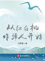 《从红白机炸弹人开始》