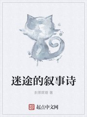 迷途的敍事詩