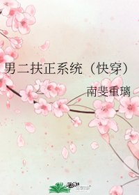 男二扶正系统(快穿)