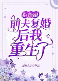 《拒绝跟前夫复婚后我重生了》