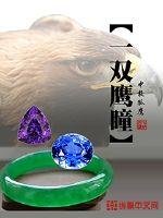 一雙鷹瞳