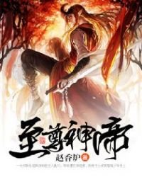 《至尊龍帝》