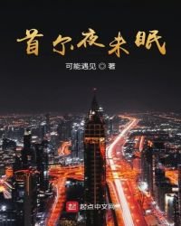 《首尔夜未眠》