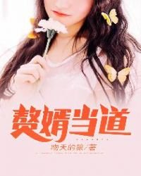 赘婿当道免费