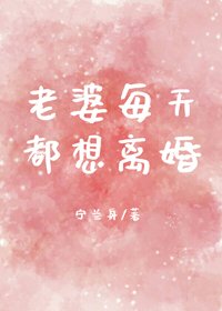 《老婆每天都想离婚》
