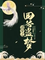 《清穿之四爷盗梦》