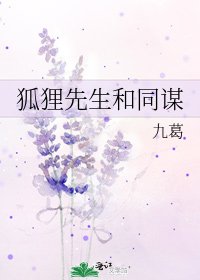 《狐狸先生和同谋》