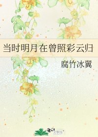 《当时明月在曾照彩云归》