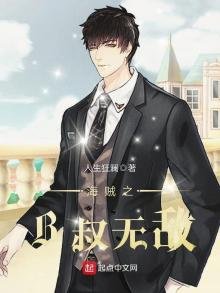 《海贼之B叔无敌》