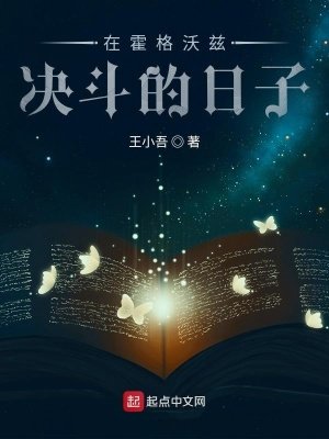 《在霍格沃兹决斗的日子》