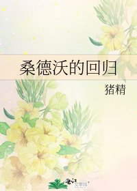 《桑德沃的回归》