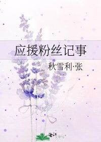 《应援粉丝记事》