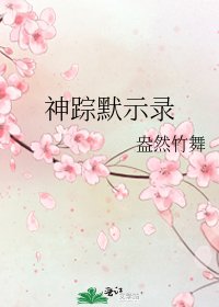 神踪默示录