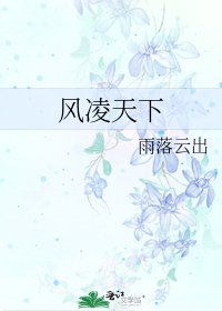 《风凌天下》