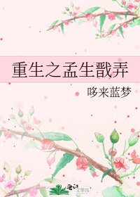 《重生之孟生戬弄》